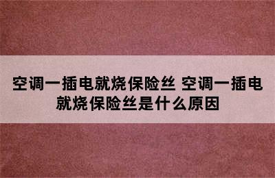 空调一插电就烧保险丝 空调一插电就烧保险丝是什么原因